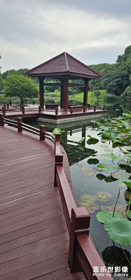 每日一圖