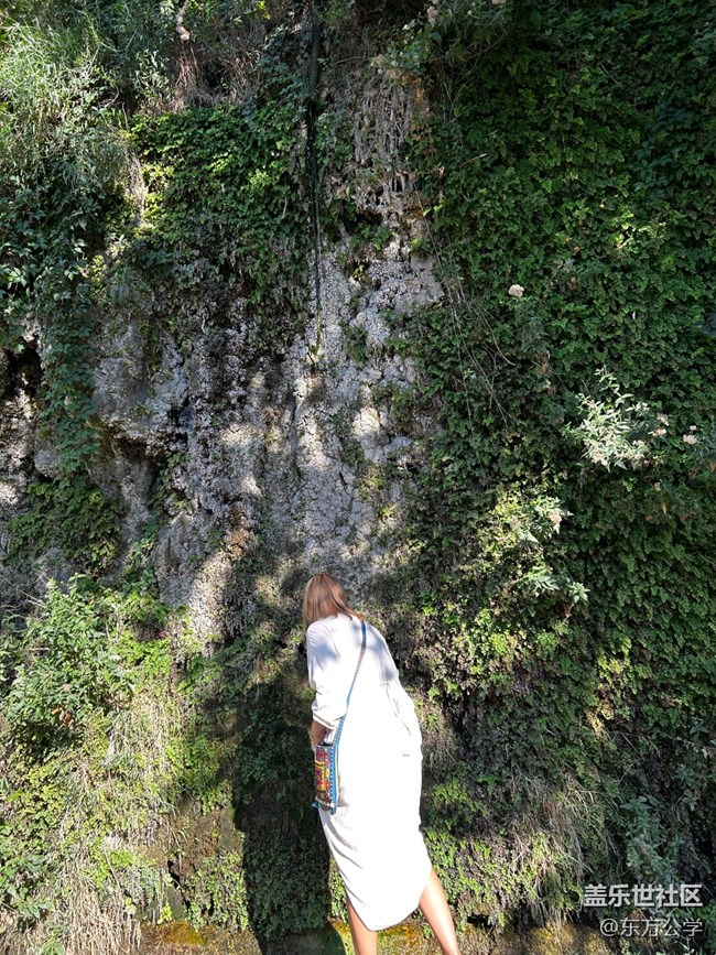 【尋秋】秋高氣爽去爬山