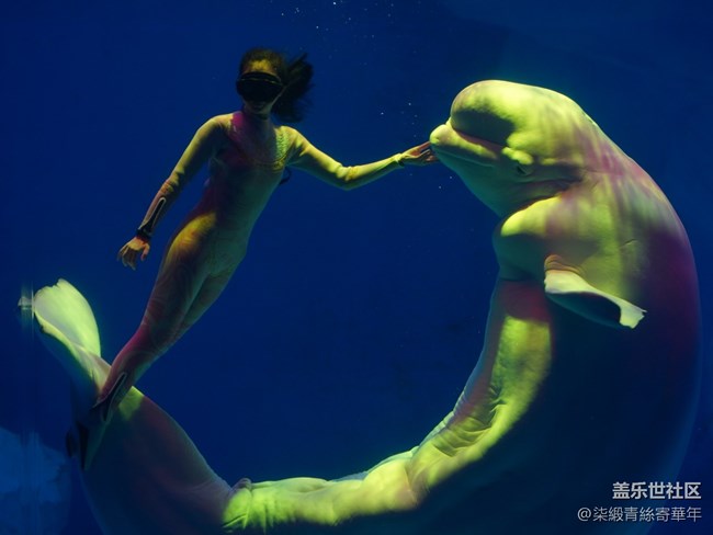 【Galaxy中原海洋夢(mèng)】與海洋的邂逅之旅