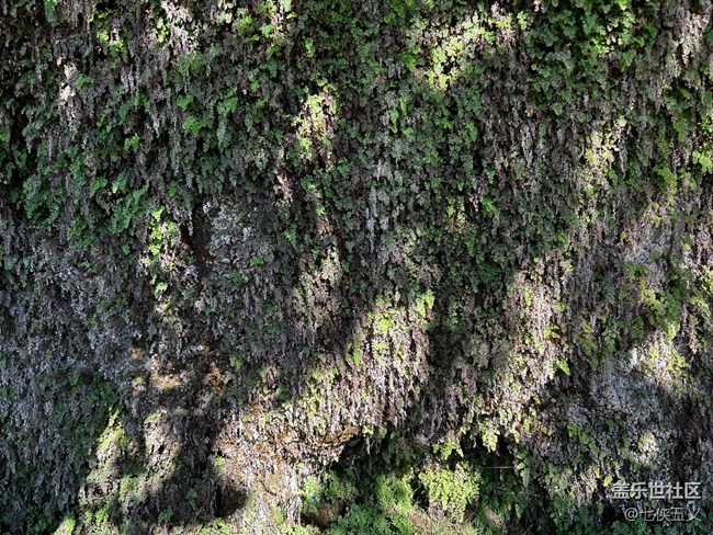 【尋秋】曲徑通幽處