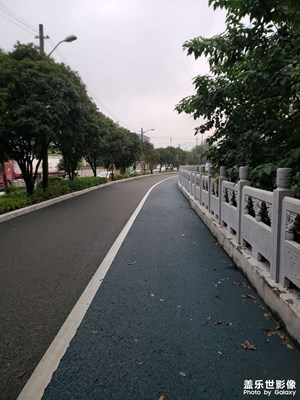 【秋高氣爽】+美好的清晨