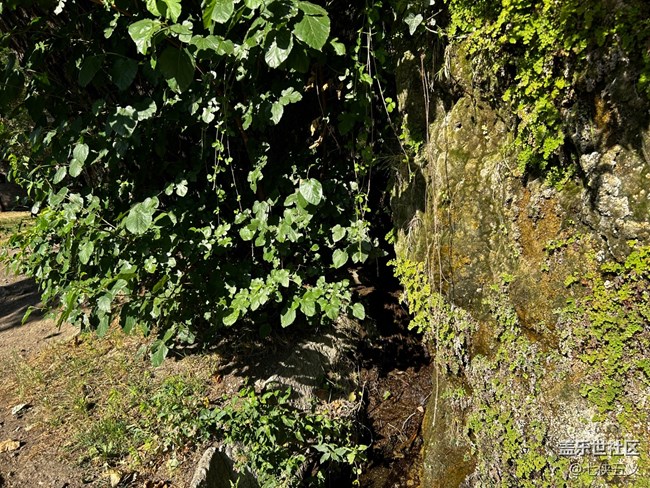 【尋秋】曲徑通幽處