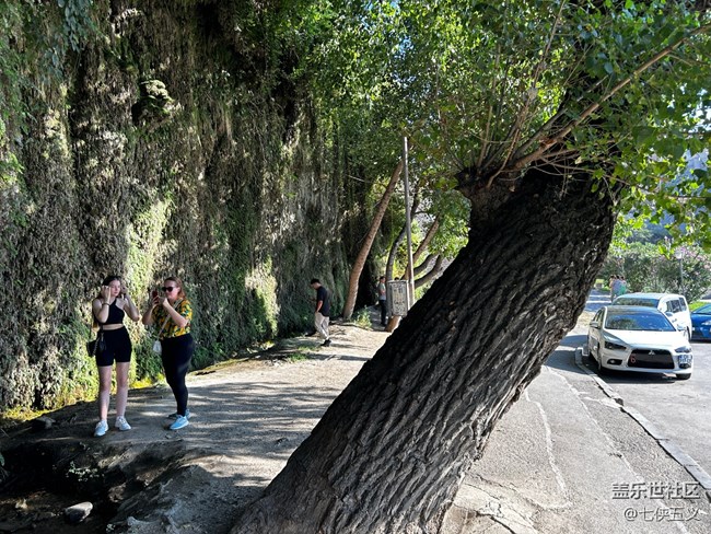 【尋秋】曲徑通幽處