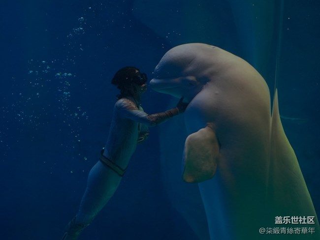 【Galaxy中原海洋夢(mèng)】與海洋的邂逅之旅