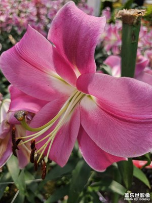 【秋高氣爽】+花開(kāi)再會(huì)時(shí)