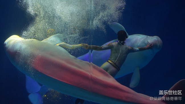 【Galaxy中原海洋夢(mèng)】與海洋的邂逅之旅