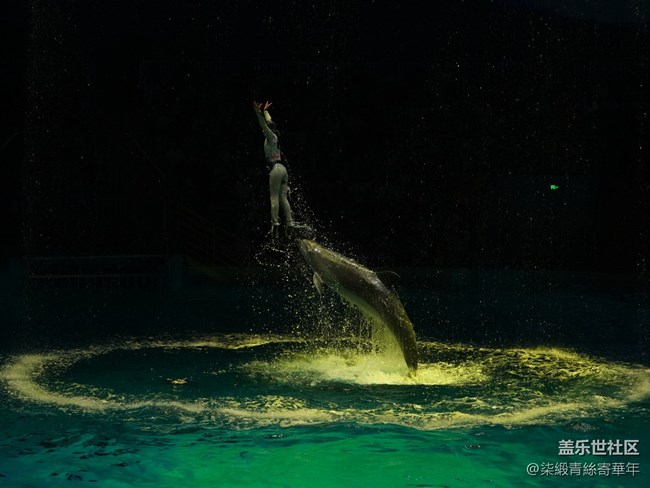 【Galaxy中原海洋夢(mèng)】與海洋的邂逅之旅