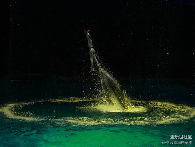 【Galaxy中原海洋夢(mèng)】與海洋的邂逅之旅