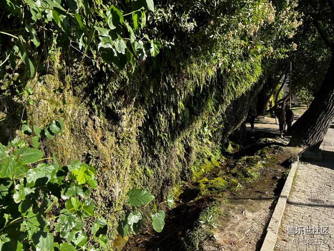 【尋秋】曲徑通幽處