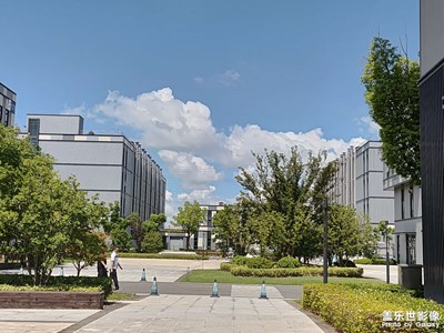 【秋高氣爽】+晴空萬里