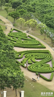 【秋高氣爽】+今年的初秋，感覺還在過夏天