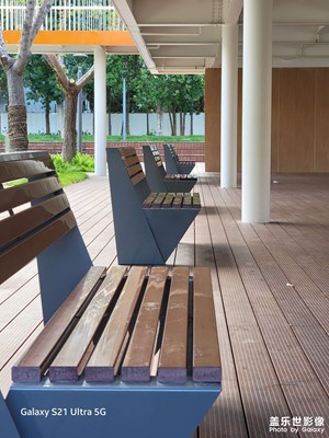 【秋高氣爽】秋日公園隨拍