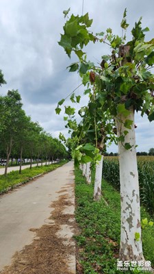 【秋高氣爽】+秋意漸濃