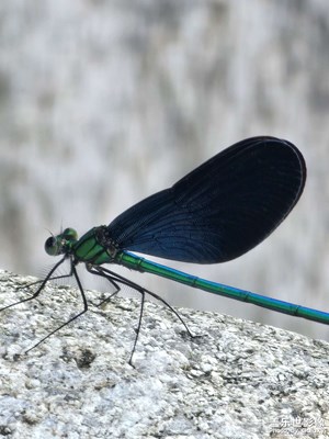 [秋高氣爽]秋季的私語