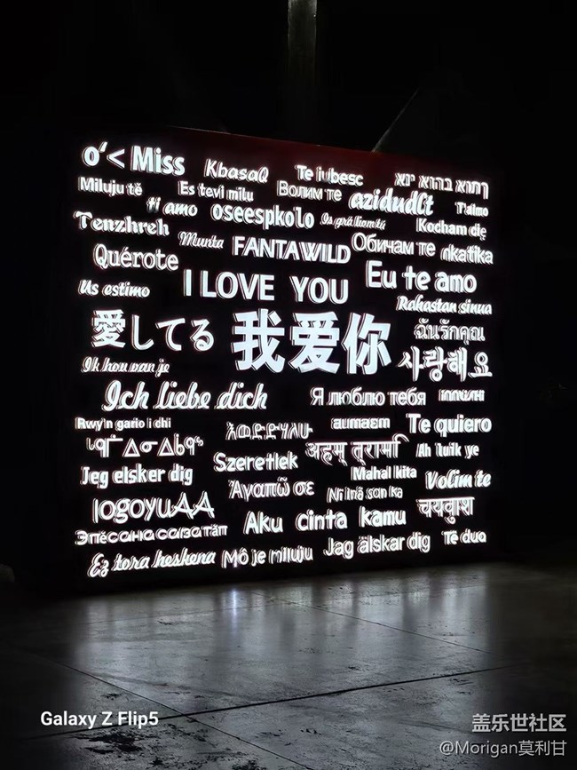 沈陽星部落 方特夜景拍攝活動回顧