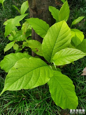 【秋高氣爽】新生