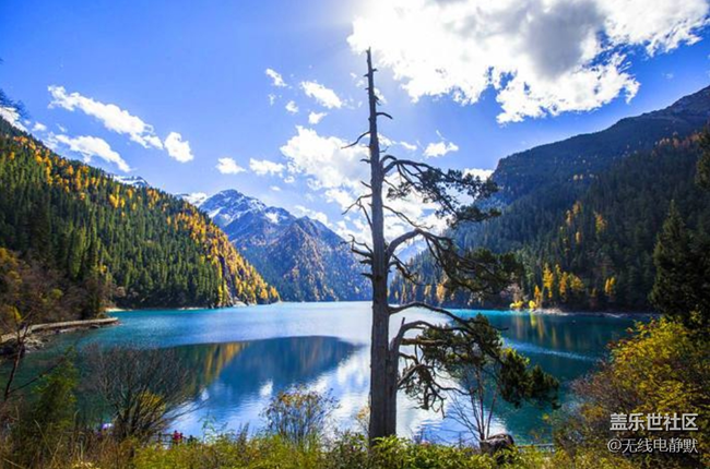 華北大區(qū)24年第三場線上攝影活動【夏色秋聲】獲獎名單公示 華北大區(qū)24年第三場線上攝影活動【夏色秋聲】獲獎名單公示