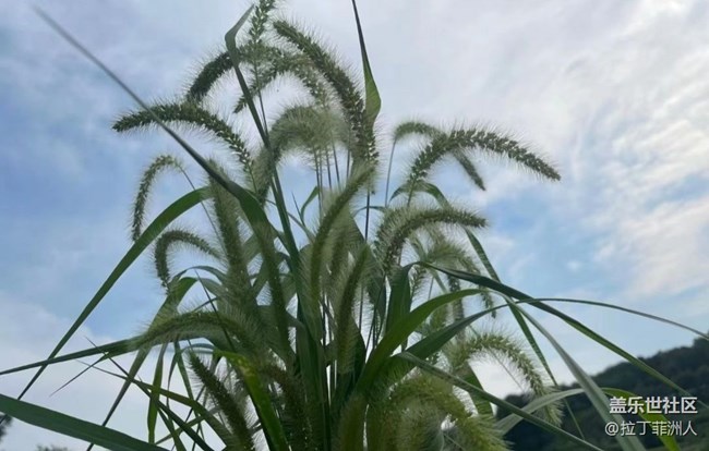 【時(shí)間影像】看日出