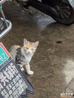 【秋高氣爽】喜歡秋天