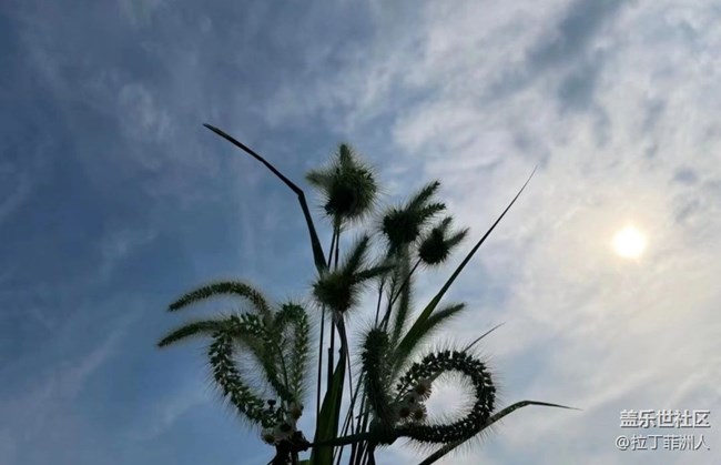 【時(shí)間影像】看日出