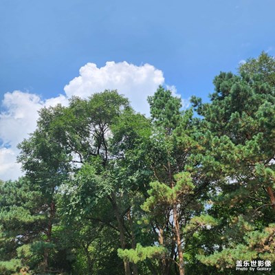 秋高氣爽 秋天隨拍