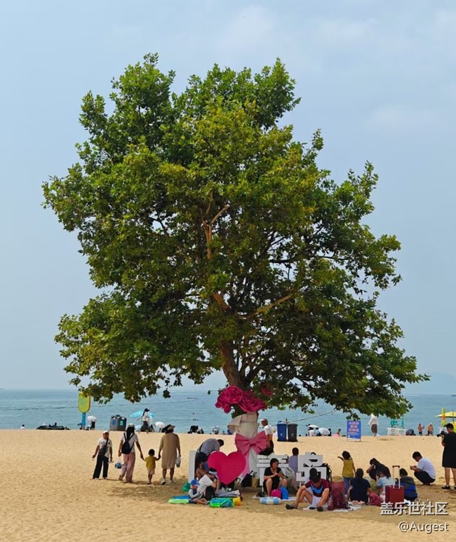 【夏日清涼·星享匯】青島之旅