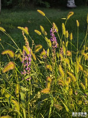 【秋高氣爽】+烏魯木齊也入秋