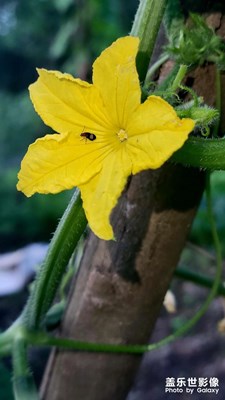 【秋高氣爽】+秋天的風(fēng)景