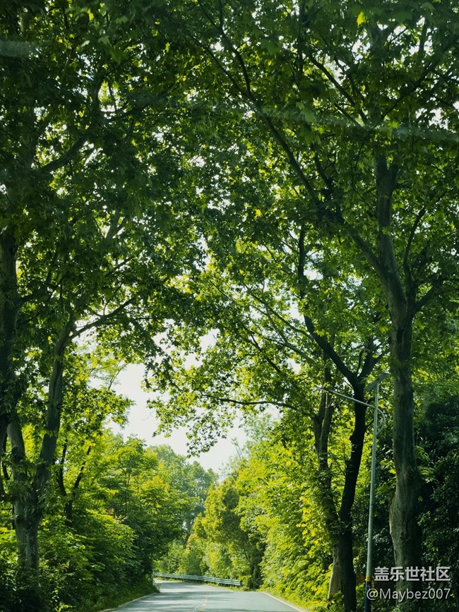 創(chuàng)建濾鏡功能真好用