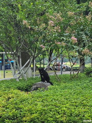 【秋高氣爽】秋天的公園