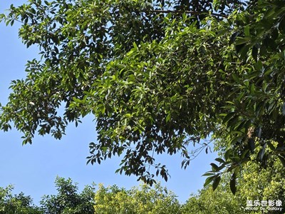 【秋高氣爽】+秋日的溫柔