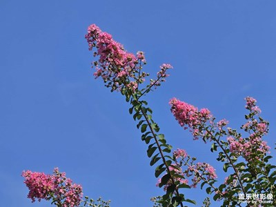 【秋高氣爽】+秋天到來(lái)