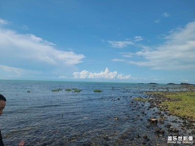 【秋高氣爽】夕陽無限好，只是近黃昏