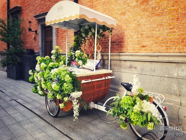 上海星部落9月1日張園線下攝影活動(dòng)回顧帖