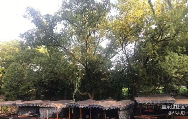 【中秋限定】游玩