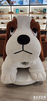 【生活的色調(diào)】+場景隨拍