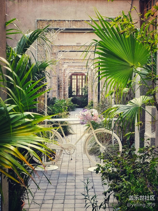 上海星部落9月1日張園線下攝影活動(dòng)回顧帖