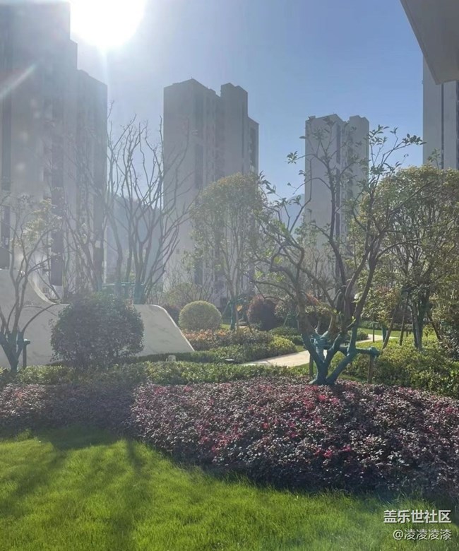 【金色秋天】新房交付