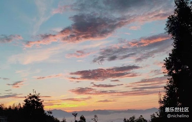 【金色秋天】朝陽