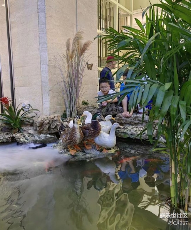 【中秋限定】逛商場