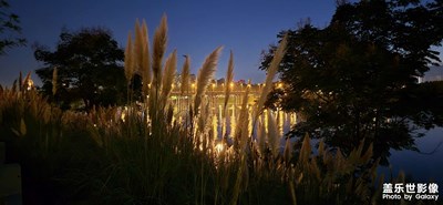 【生活的色調(diào)】+色彩斑斕