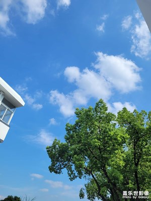 【生活的色調(diào)】+工作間隙