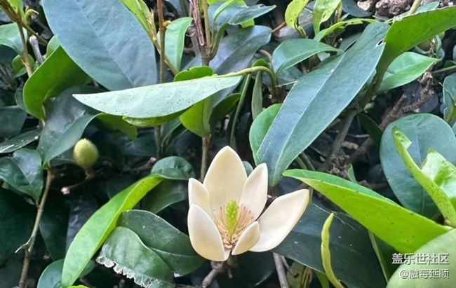 【中秋限定】野外美景