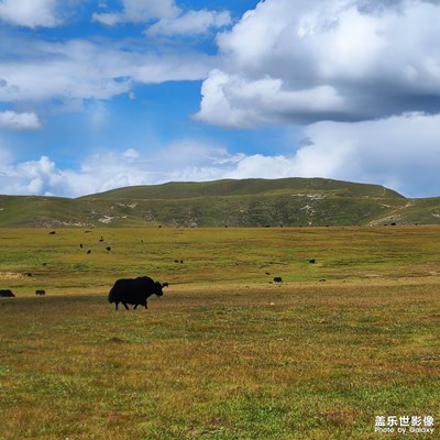 【生活的色調(diào)】川西