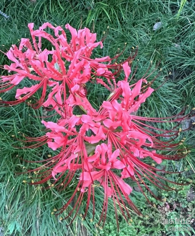 【中秋限定】野外美景