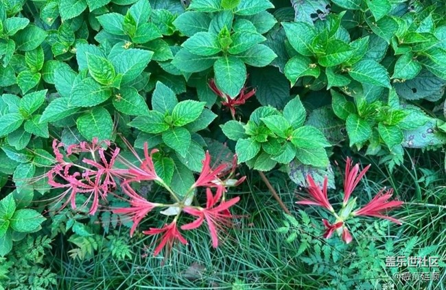 【中秋限定】野外美景