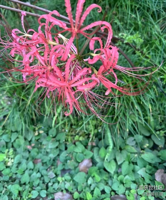 【中秋限定】野外美景