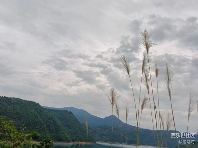 【金色秋天】水庫(kù)