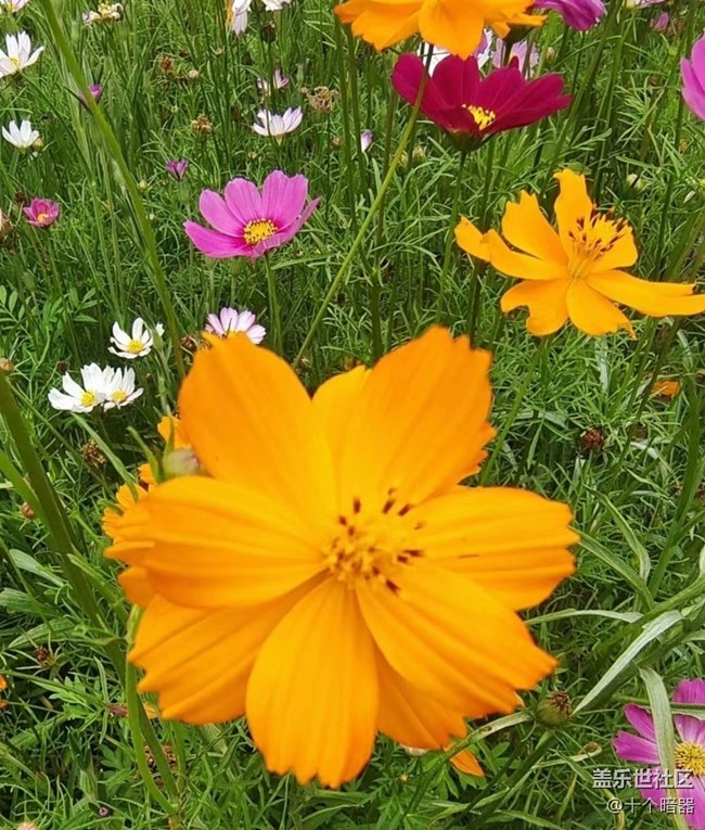 【中秋限定】美景