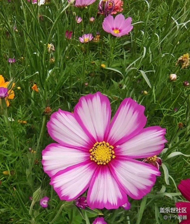 【中秋限定】美景